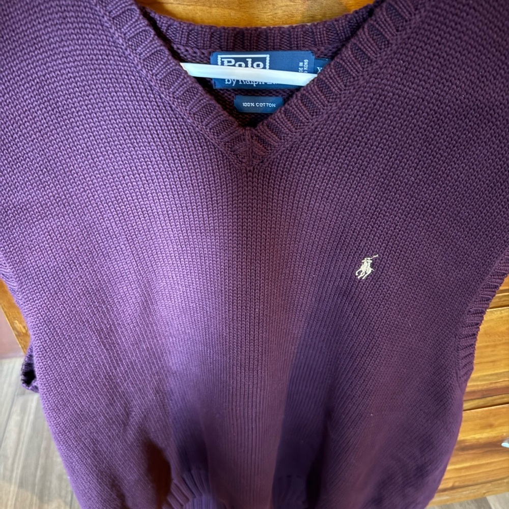 Polo by Ralph Lauren Men's Purple Sweater
